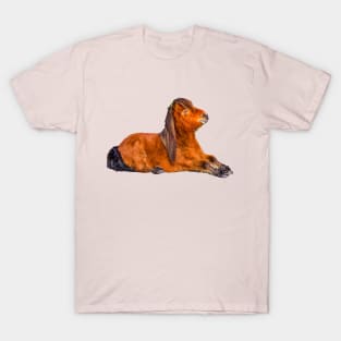 Cute Shetland Pony T-Shirt